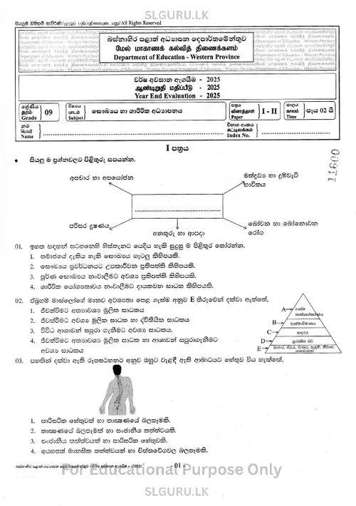 Grade 9 Health Third Term 2025 Western Province (SM) thumbnail